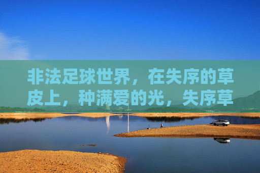 非法足球世界，在失序的草皮上，种满爱的光，失序草皮，足球种爱