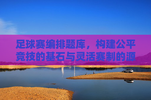 足球赛编排题库，构建公平竞技的基石与灵活赛制的源泉