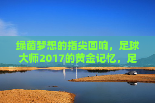 绿茵梦想的指尖回响，足球大师2017的黄金记忆，足球大师2017，绿茵梦想的黄金记忆