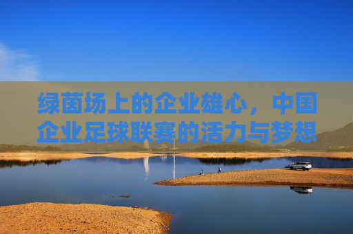 绿茵场上的企业雄心，中国企业足球联赛的活力与梦想，绿茵雄心，中国企业足球联赛的活力与梦想