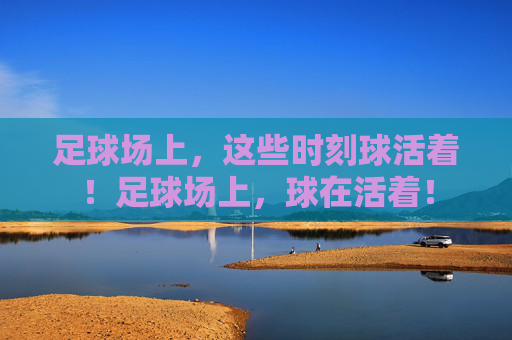足球场上,这些时刻球活着!足球场上,球在活着! 足球场上,这些时刻球活着!足球场上,球在活着!
