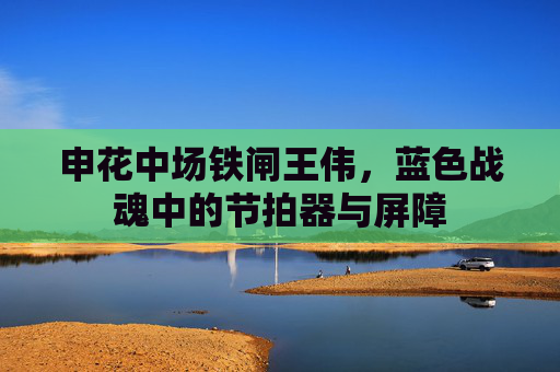 申花中场铁闸王伟,蓝色战魂中的节拍器与屏障 申花中场铁闸王伟,蓝色战魂中的节拍器与屏障