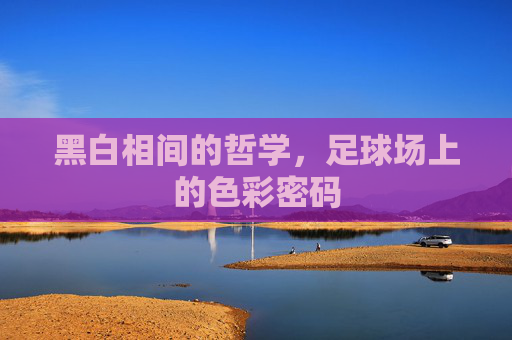 黑白相间的哲学,足球场上的色彩密码 黑白相间的哲学,足球场上的色彩密码