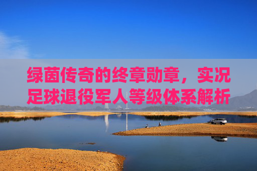绿茵传奇的终章勋章，实况足球退役军人等级体系解析，绿茵传奇终章勋章，实况足球退役军人等级体系解析
