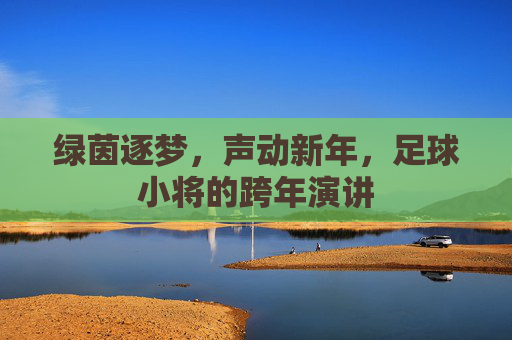 绿茵逐梦,声动新年,足球小将的跨年演讲 绿茵逐梦,声动新年,足球小将的跨年演讲