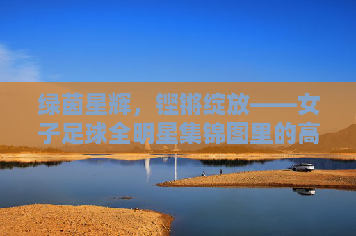绿茵星辉,铿锵绽放——女子足球全明星集锦图里的高光时刻,女子足球全明星,绿茵星辉下的铿锵高光 绿茵星辉,铿锵绽放——女子足球全明星集锦图里的高光时刻,女子足球全明星,绿茵星辉下的铿锵高光