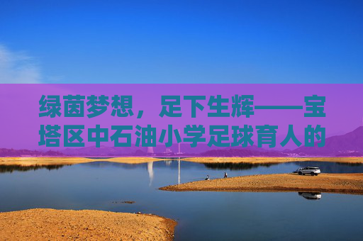 绿茵梦想,足下生辉——宝塔区中石油小学足球育人的实践与成长 绿茵梦想,足下生辉——宝塔区中石油小学足球育人的实践与成长