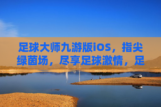 足球大师九游版iOS，指尖绿茵场，尽享足球激情，足球大师九游版iOS，指尖绿茵场，尽享足球激情