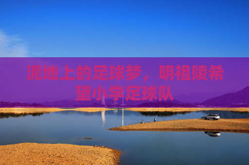 泥地上的足球梦,明祖陵希望小学足球队 泥地上的足球梦,明祖陵希望小学足球队