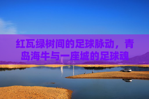 红瓦绿树间的足球脉动,青岛海牛与一座城的足球魂 红瓦绿树间的足球脉动,青岛海牛与一座城的足球魂