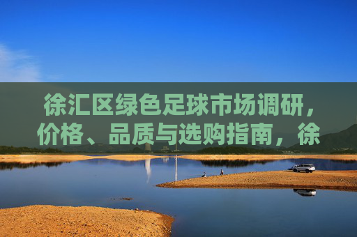 徐汇区绿色足球市场调研，价格、品质与选购指南，徐汇区绿色足球市场调研，价格、品质与选购指南