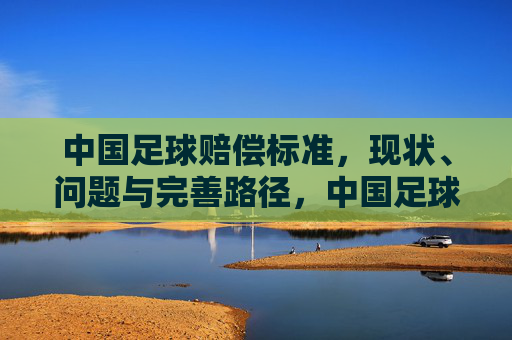 中国足球赔偿标准，现状、问题与完善路径，中国足球赔偿标准的现状、问题与完善路径