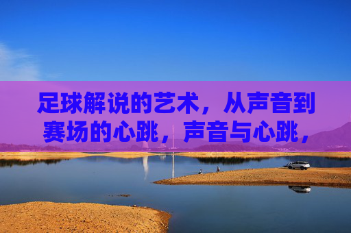 足球解说的艺术，从声音到赛场的心跳，声音与心跳，足球解说的艺术