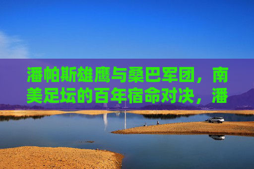 潘帕斯雄鹰与桑巴军团，南美足坛的百年宿命对决，潘帕斯雄鹰与桑巴军团，南美百年宿命对决