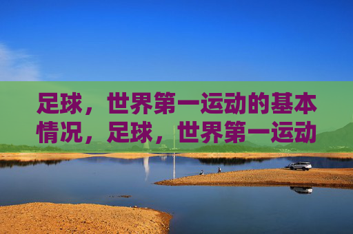 足球，世界第一运动的基本情况，足球，世界第一运动概览