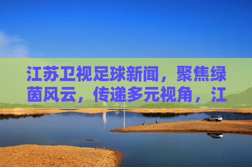 江苏卫视足球新闻，聚焦绿茵风云，传递多元视角，江苏卫视足球新闻，聚焦绿茵风云，传递多元视角