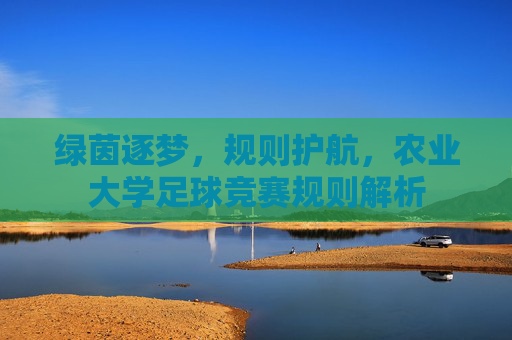 绿茵逐梦，规则护航，农业大学足球竞赛规则解析