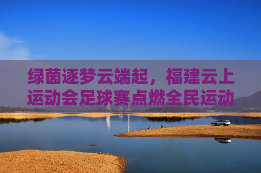 绿茵逐梦云端起，福建云上运动会足球赛点燃全民运动热情，福建云上足球赛点燃全民运动热情