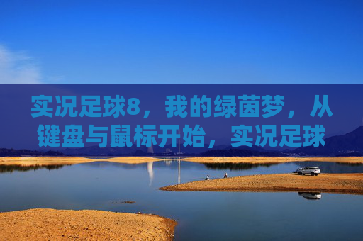 实况足球8，我的绿茵梦，从键盘与鼠标开始，实况足球8，从键盘鼠标开始的绿茵梦
