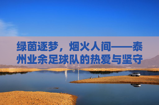 绿茵逐梦，烟火人间——泰州业余足球队的热爱与坚守