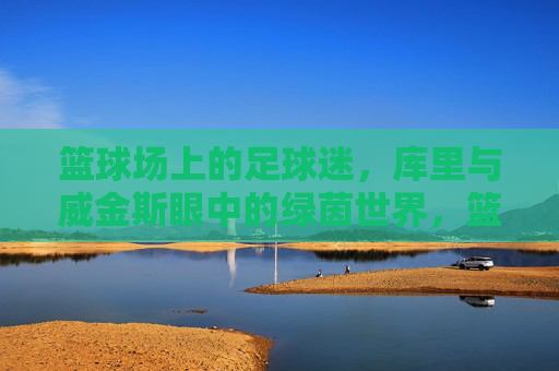 篮球场上的足球迷，库里与威金斯眼中的绿茵世界，篮球巨星库里与威金斯，绿茵世界的足球迷视角