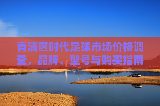 青浦区时代足球市场价格调查，品牌、型号与购买指南，青浦区时代足球市场价格调查，品牌、型号与购买指南