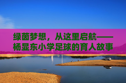 绿茵梦想，从这里启航——杨显东小学足球的育人故事，杨显东小学足球，绿茵梦想启航，育人故事新篇