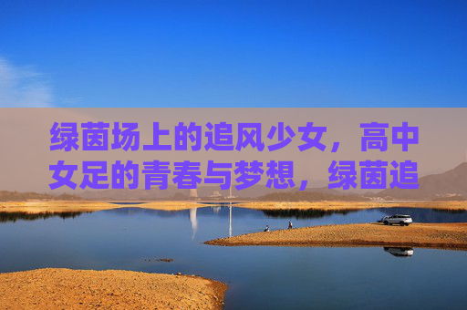 绿茵场上的追风少女,高中女足的青春与梦想,绿茵追风少女,高中女足的青春与梦想 绿茵场上的追风少女,高中女足的青春与梦想,绿茵追风少女,高中女足的青春与梦想