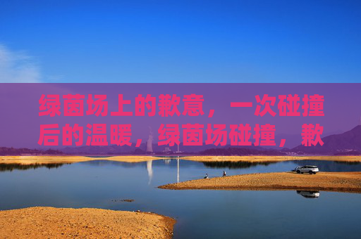 绿茵场上的歉意,一次碰撞后的温暖,绿茵场碰撞,歉意与温暖 绿茵场上的歉意,一次碰撞后的温暖,绿茵场碰撞,歉意与温暖