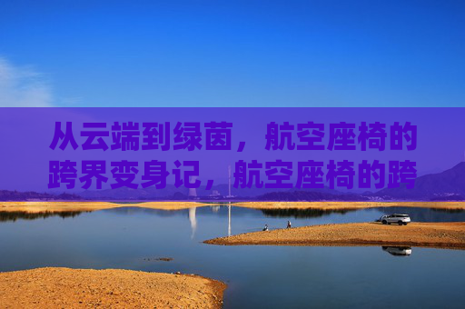 从云端到绿茵，航空座椅的跨界变身记，航空座椅的跨界变身，从云端到绿茵