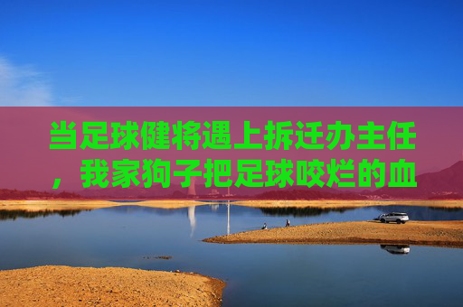 当足球健将遇上拆迁办主任，我家狗子把足球咬烂的血泪史，足球健将遇拆迁办主任，我家狗子咬烂足球血泪史