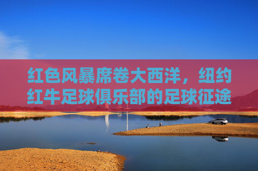 红色风暴席卷大西洋，纽约红牛足球俱乐部的足球征途，红色风暴，纽约红牛的足球征途