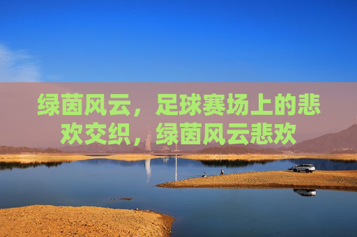 绿茵风云，足球赛场上的悲欢交织，绿茵风云悲欢