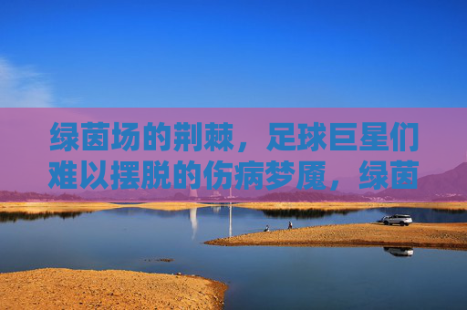 绿茵场的荆棘，足球巨星们难以摆脱的伤病梦魇，绿茵荆棘，巨星伤病梦魇