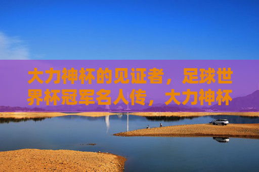 大力神杯的见证者，足球世界杯冠军名人传，大力神杯见证者，世界杯冠军名人传