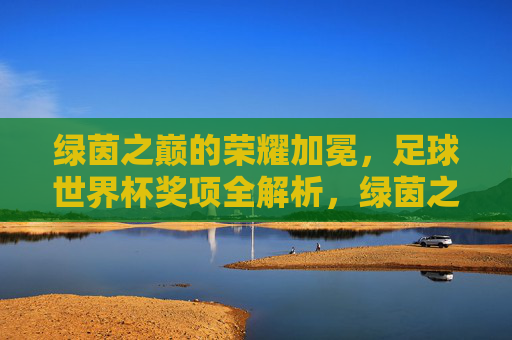 绿茵之巅的荣耀加冕,足球世界杯奖项全解析,绿茵之巅的荣耀加冕,足球世界杯奖项全解析 绿茵之巅的荣耀加冕,足球世界杯奖项全解析,绿茵之巅的荣耀加冕,足球世界杯奖项全解析