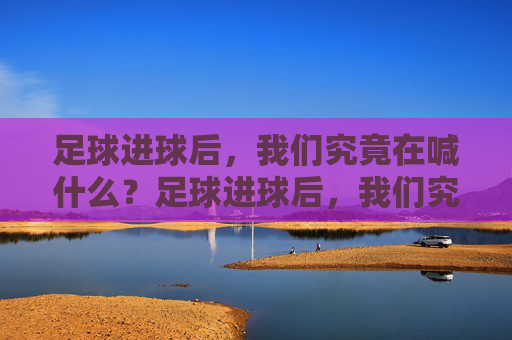 足球进球后，我们究竟在喊什么？足球进球后，我们究竟在喊什么？