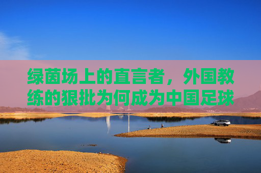 绿茵场上的直言者,外国教练的狠批为何成为中国足球的清醒剂?外国教练的狠批,中国足球的清醒剂 绿茵场上的直言者,外国教练的狠批为何成为中国足球的清醒剂?外国教练的狠批,中国足球的清醒剂