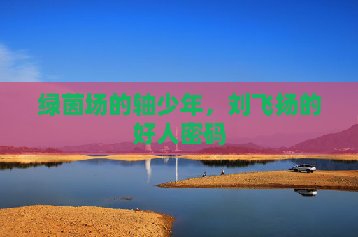 绿茵场的轴少年,刘飞扬的好人密码 绿茵场的轴少年,刘飞扬的好人密码