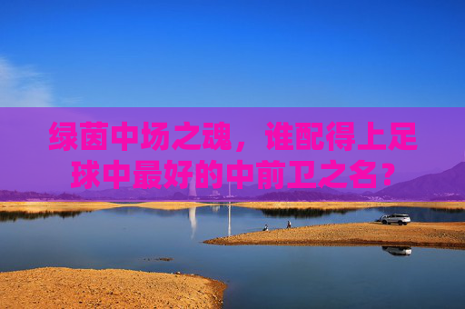 绿茵中场之魂，谁配得上足球中最好的中前卫之名？