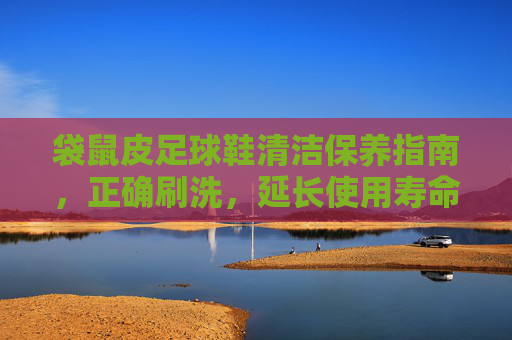 袋鼠皮足球鞋清洁保养指南,正确刷洗,延长使用寿命 袋鼠皮足球鞋清洁保养指南,正确刷洗,延长使用寿命