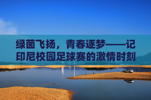 绿茵飞扬,青春逐梦——记印尼校园足球赛的激情时刻,印尼校园足球赛,青春逐梦绿茵飞扬 绿茵飞扬,青春逐梦——记印尼校园足球赛的激情时刻,印尼校园足球赛,青春逐梦绿茵飞扬