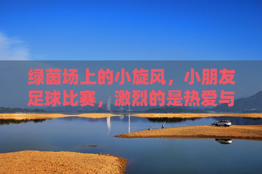 绿茵场上的小旋风，小朋友足球比赛，激烈的是热爱与成长！绿茵场上的小旋风，热爱与成长的小足球赛