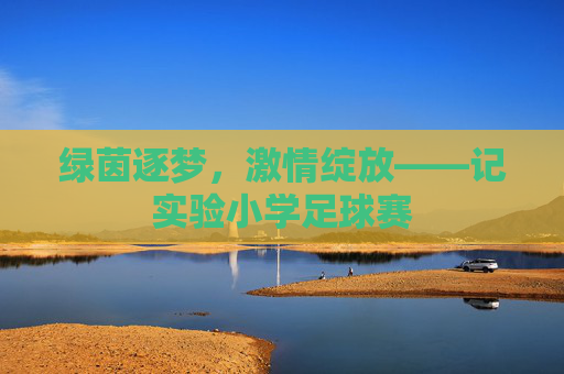 绿茵逐梦,激情绽放——记实验小学足球赛 绿茵逐梦,激情绽放——记实验小学足球赛