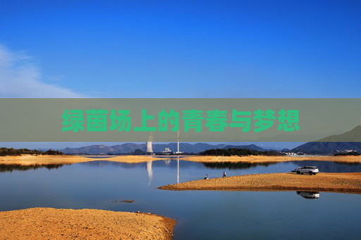 绿茵场上的青春与梦想 绿茵场上的青春与梦想
