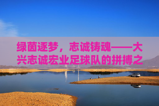 绿茵逐梦，志诚铸魂——大兴志诚宏业足球队的拼搏之路