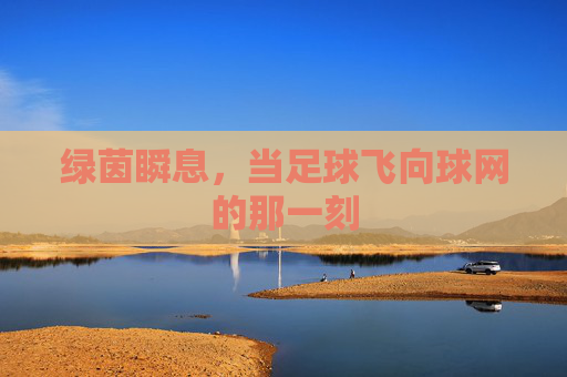 绿茵瞬息，当足球飞向球网的那一刻