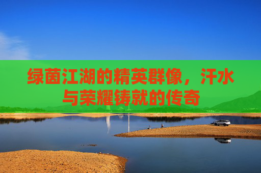 绿茵江湖的精英群像，汗水与荣耀铸就的传奇