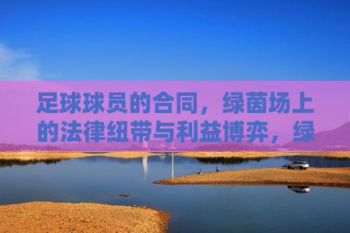 足球球员的合同,绿茵场上的法律纽带与利益博弈,绿茵场上的合同,法律纽带与利益博弈 足球球员的合同,绿茵场上的法律纽带与利益博弈,绿茵场上的合同,法律纽带与利益博弈