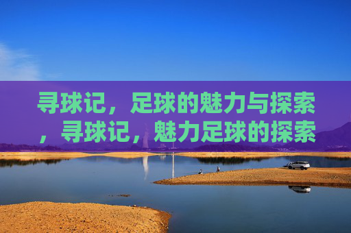 寻球记,足球的魅力与探索,寻球记,魅力足球的探索 寻球记,足球的魅力与探索,寻球记,魅力足球的探索